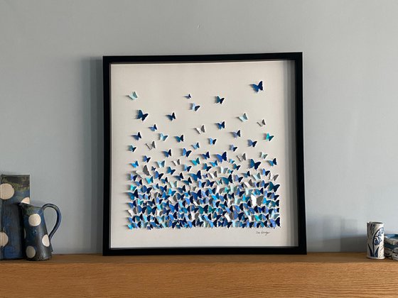 Butterflies - a study in blue