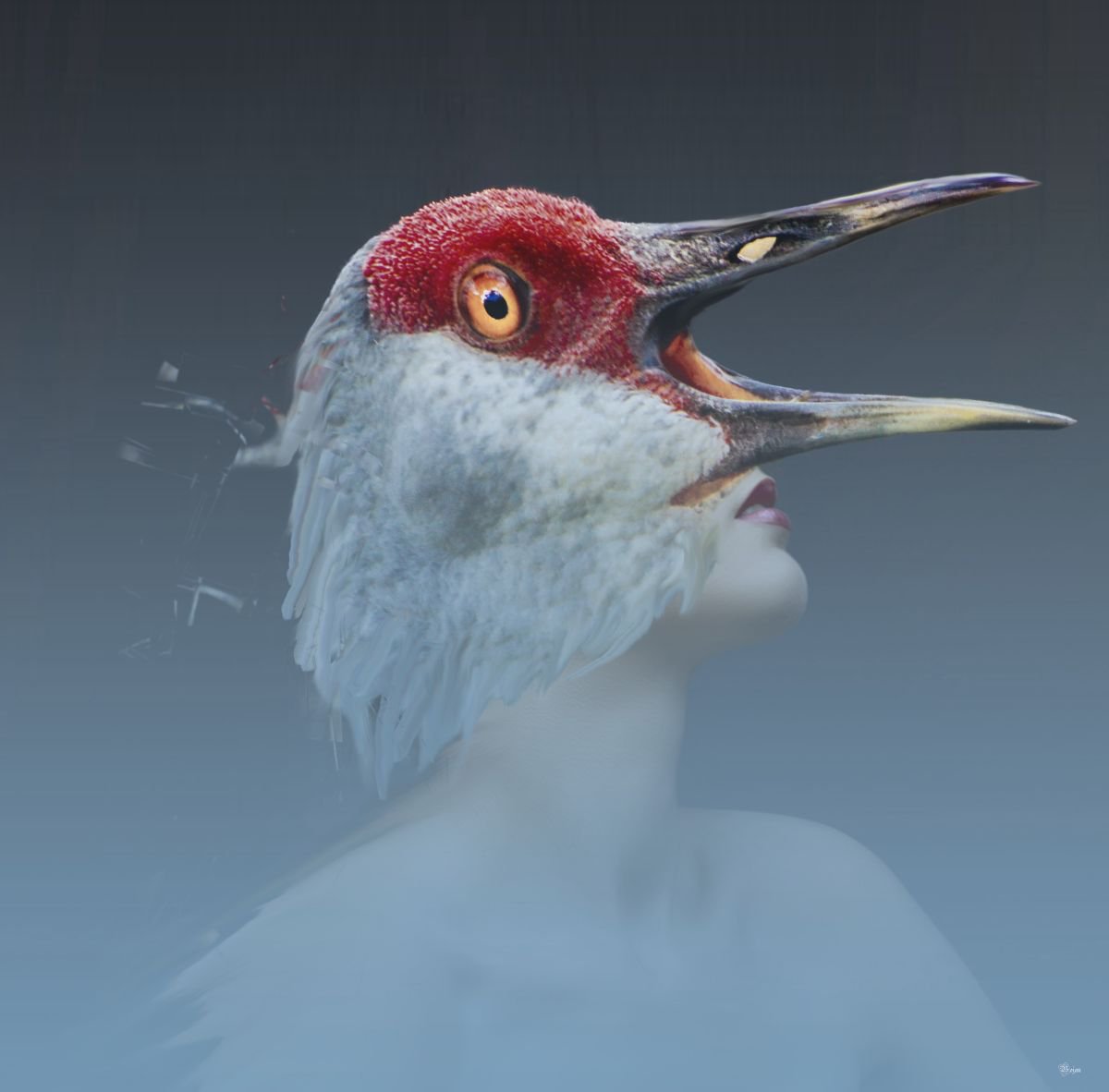 Illustrative Portrait Photograph By Bojan Jevtic, 39 X 39, Scream Inside, Original Artwork