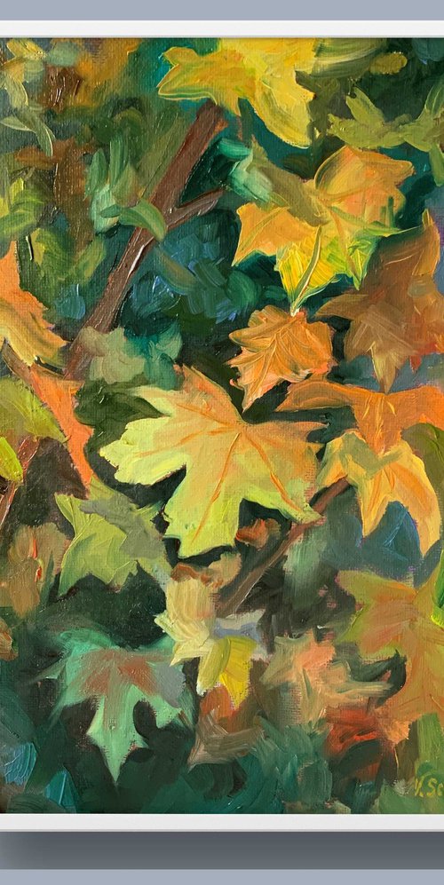 Autumn leaves. by Vita Schagen