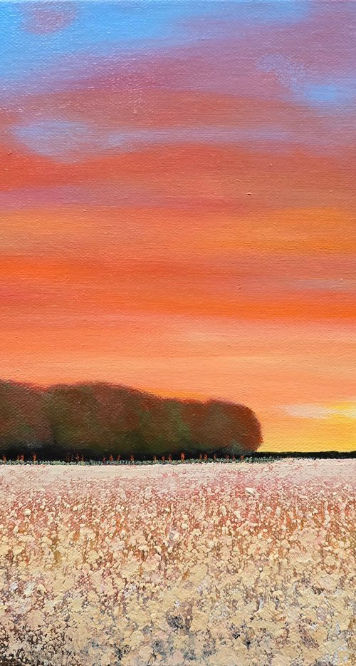 New Light by Faith Patterson