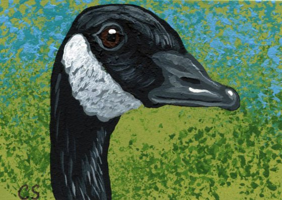 ACEO ATC Original Miniature Painting Canada Goose Wildlife Bird Art-Carla Smale