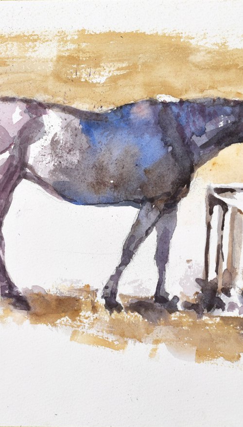 Horse by Goran Žigolić Watercolors