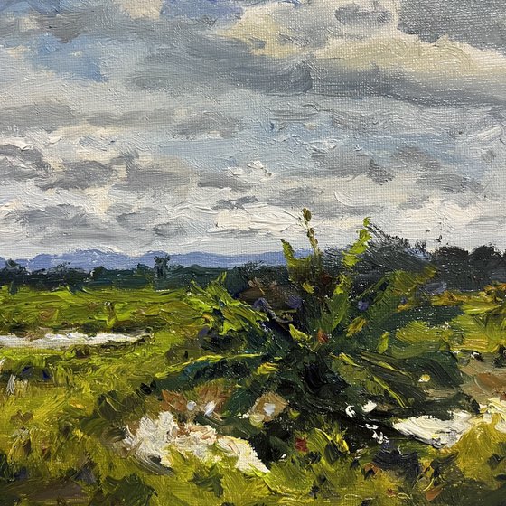 The Charm of the Rainy Season