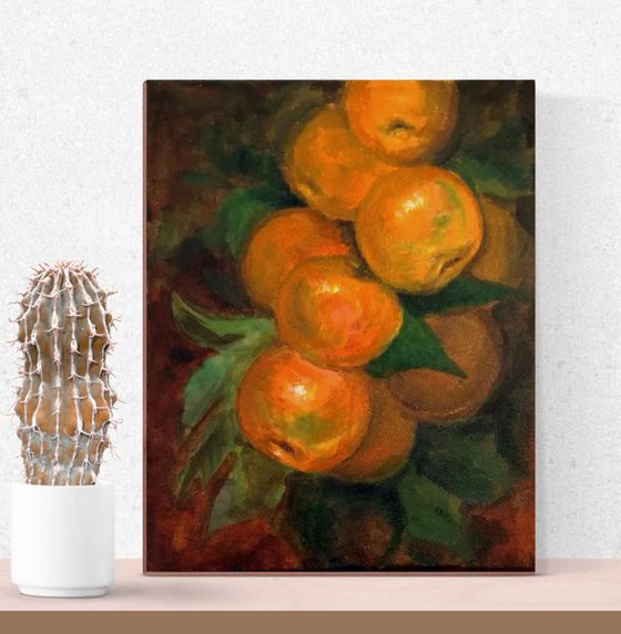 Mandarin Oranges on a branch