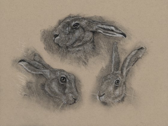 A Trio of Hares