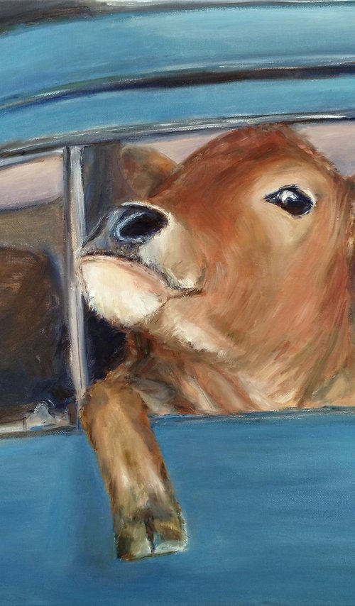 Cow In The Car by Jura Kuba Art