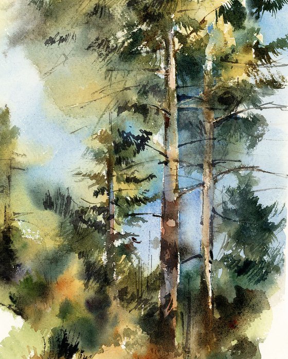 Carmel forest watercolor painting