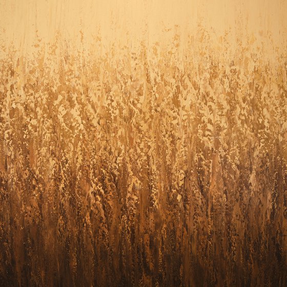 Field of Wheat