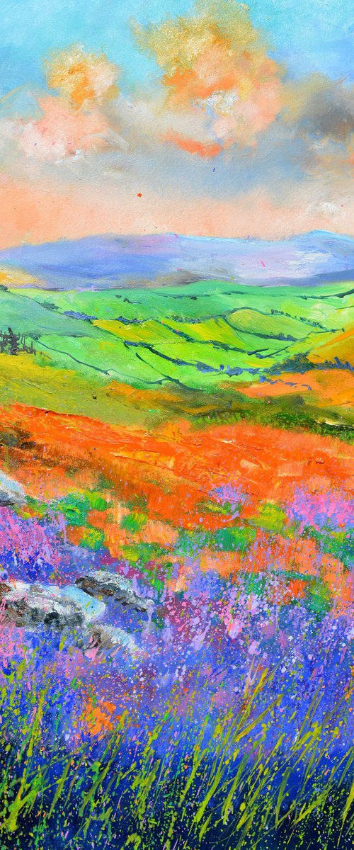 Scottish moors in spring by Pol Henry Ledent