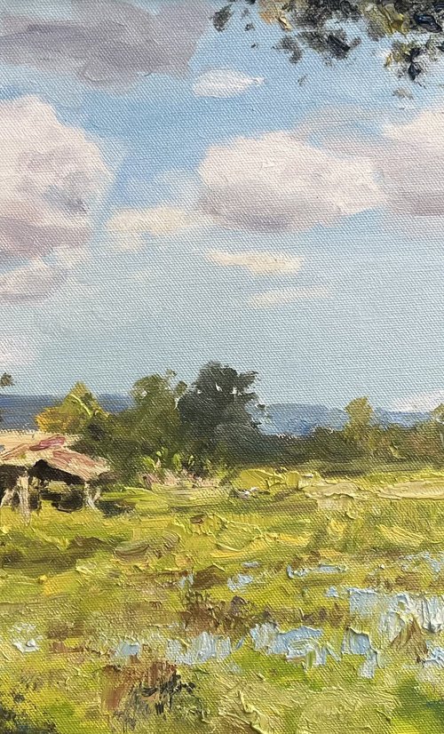 Rice Fields in Rural Thailand by Sarawut Donrasri