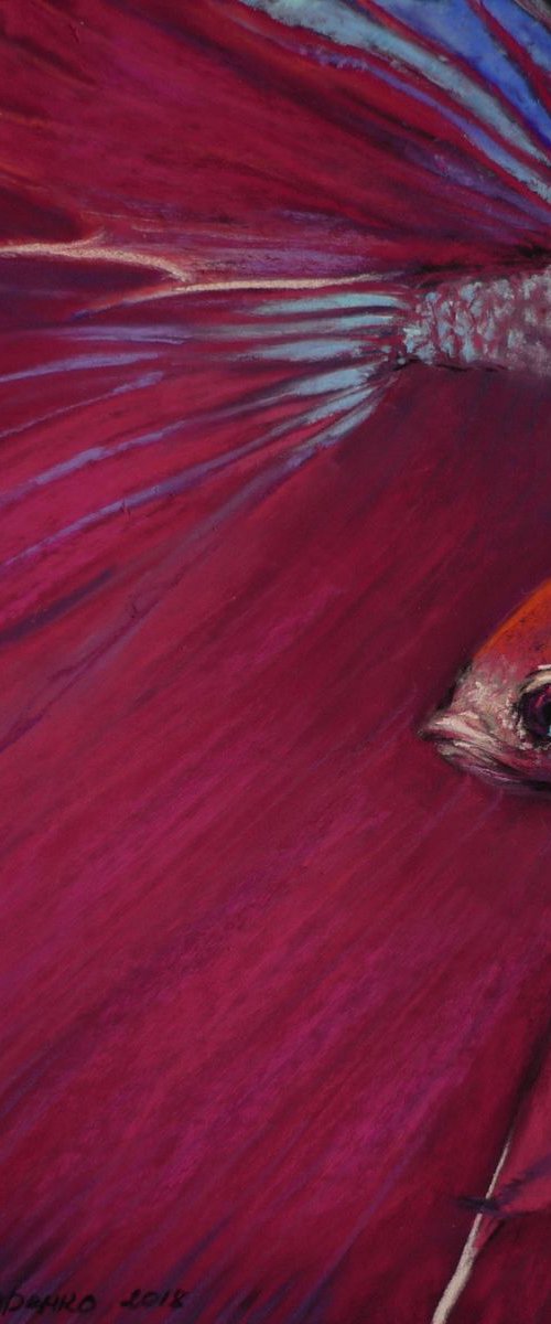 "Red Cock". Original Pastel Portrait by Elena Bondarenko