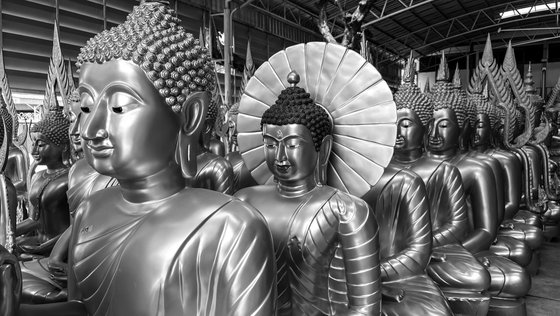Buddha line up