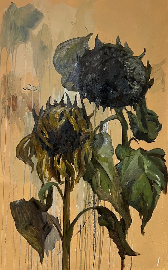 Sunflower 14