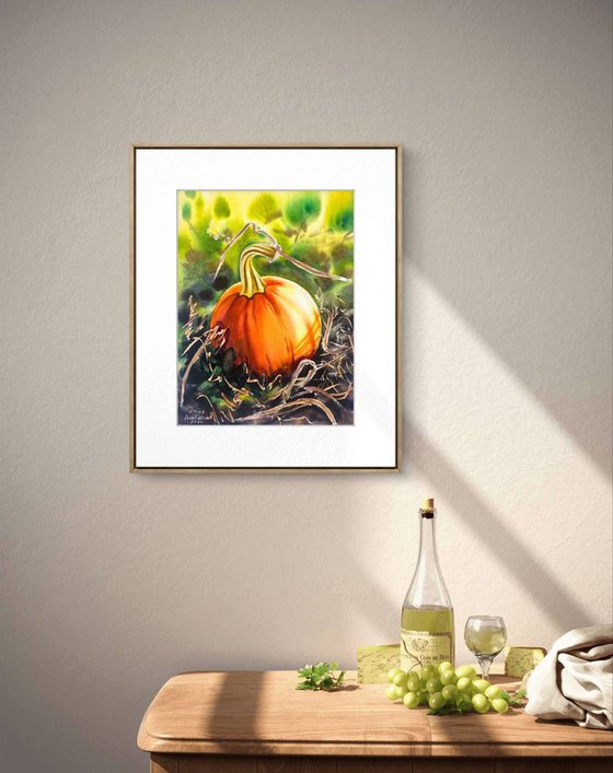 Sunlit Pumpkin Field