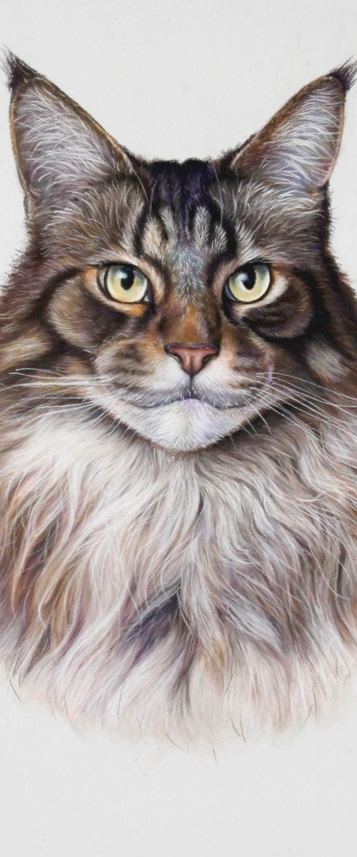 Mr. Cat by Tatjana Bril