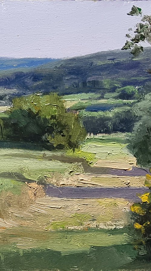Chemin des Genêts by Pascal Giroud