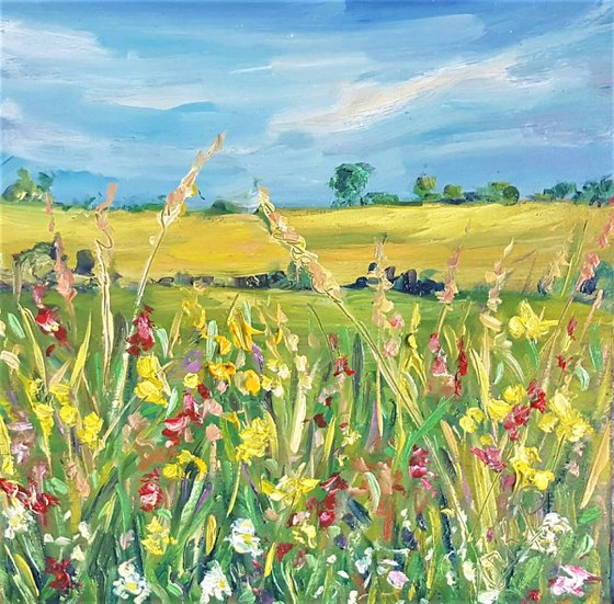 Sunny Summer Meadow