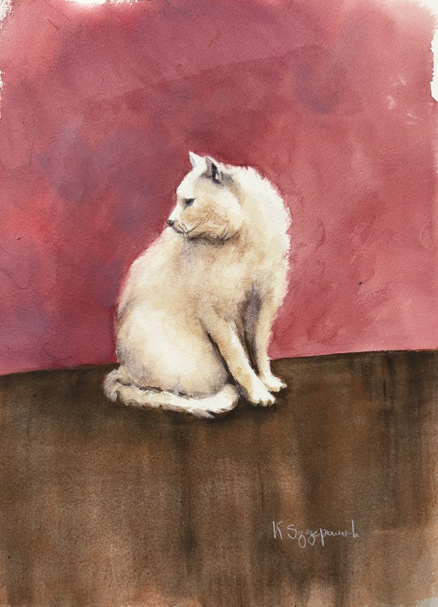 Impressionistic Watercolour , White Cat By Krystyna Szczepanowski, 10 X 14, Artwork For Sale On Artfinder