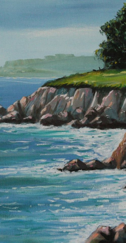 Beautiful California Coast by John Begley