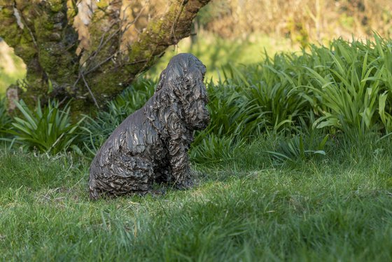 Sitting Cocker Spaniel BR