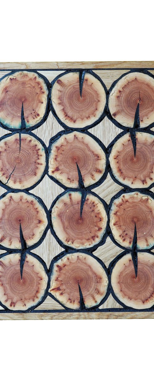 "Nature Harmony" by Sava Draganov