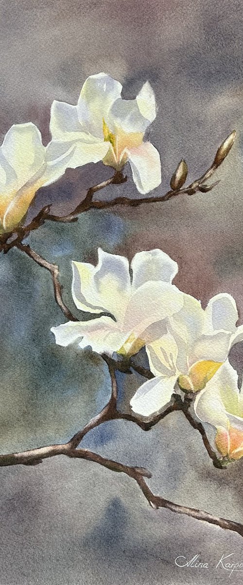 Magnolia by Alina Karpova