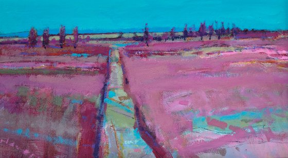 Field Flow with Pinks