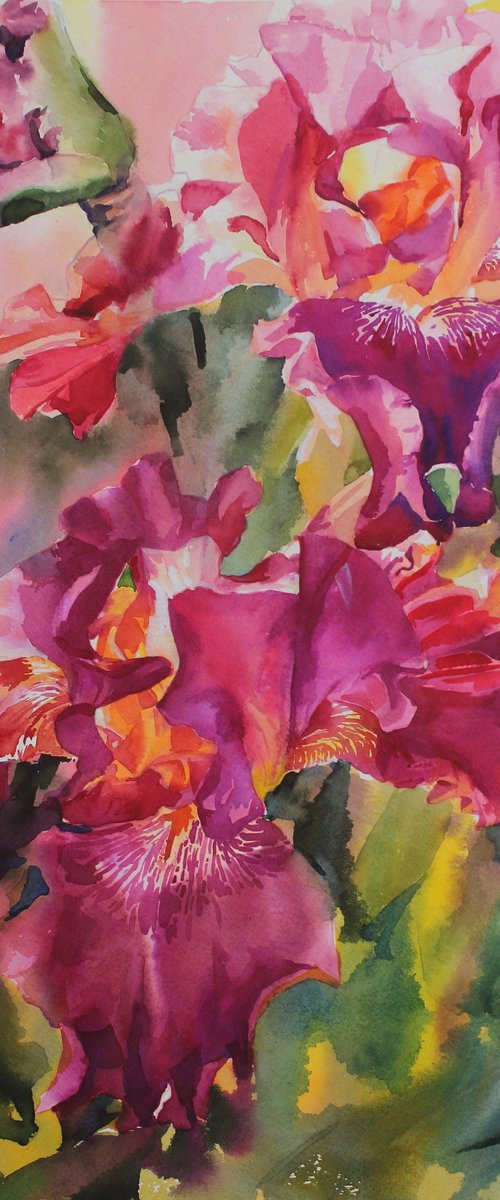 Red Irises by Yurii Pashkov