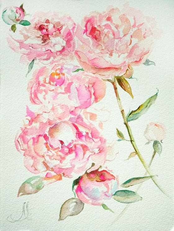 Peonies diptych watercolor paintings, Peony Art Set