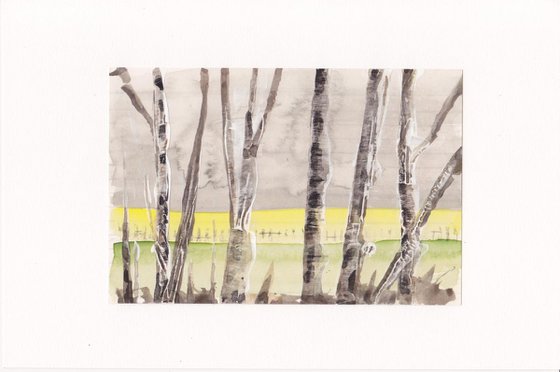 The rapeseed field No. 3