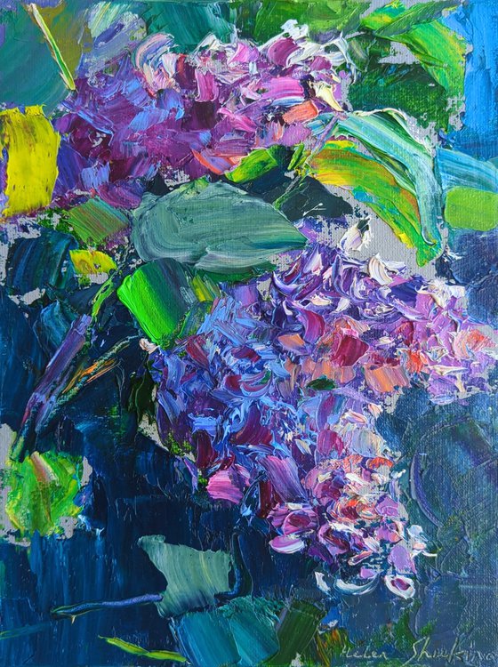 May lilacs