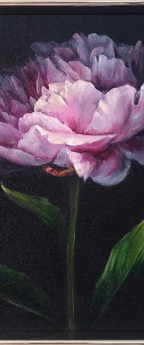 Original oil painting with peony 20*25 cm by Irina Ivlieva
