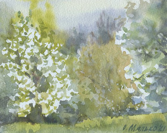 Spring again. Evening calm / Trees in blossom. Original watercolor sketch. Plein air painting