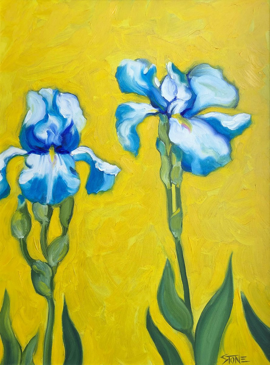 Blue Iris by Bill Stone