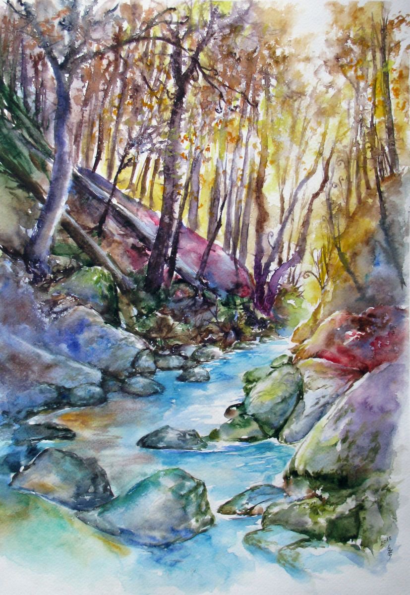 Forest stream 2 by Szekelyhidi Zsolt