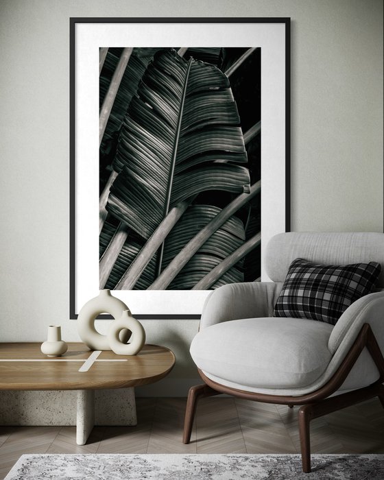 Jungle Fronds