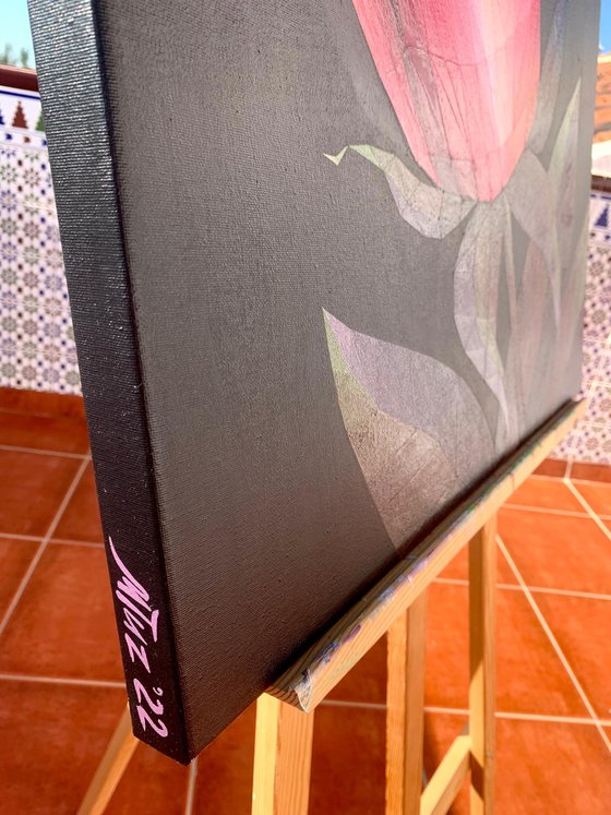 SCARLET CRYSTAL ROSE ON BLACK