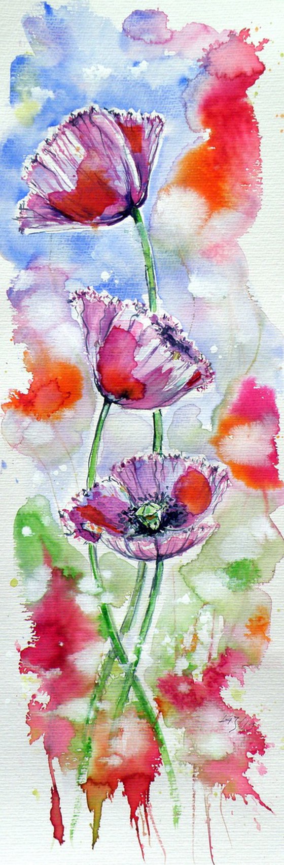 Poppies of summer III