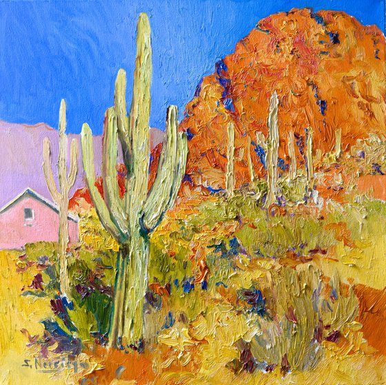 Saguaro Cactuses in Arizona