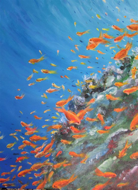 Fishes at a Sea Reef