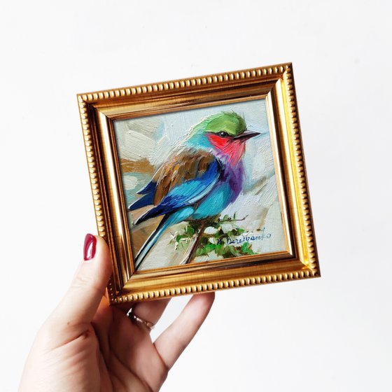 Little blue bird