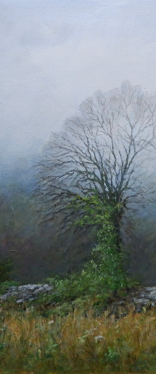 Rainy Misty Day by Gerard Kramer