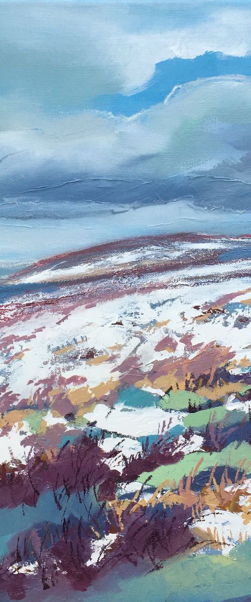 Dartmoor by Diana Davydova