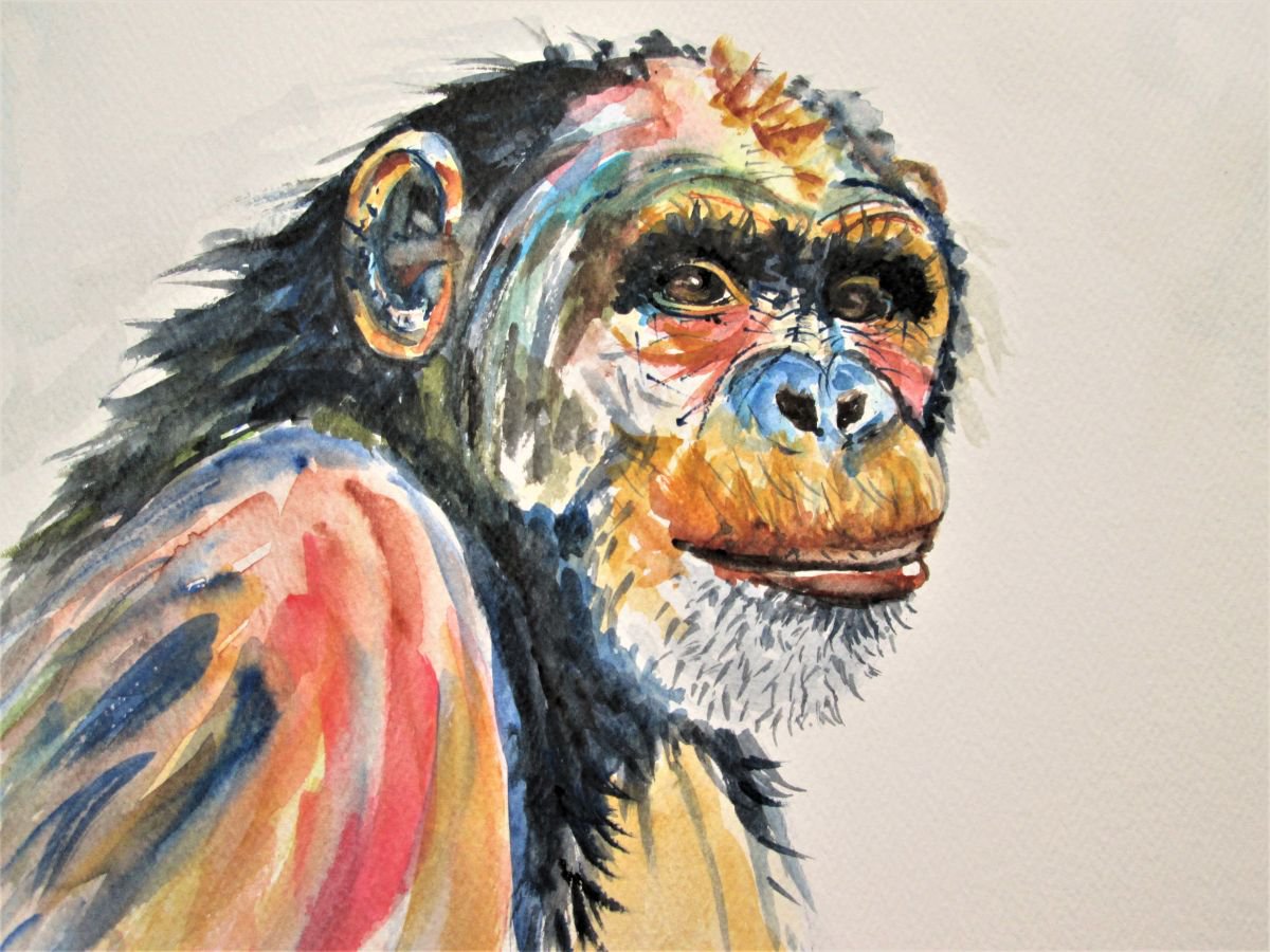 CHIMPANZEE Artwork, Monkey Portrait Watercolour by Marjan