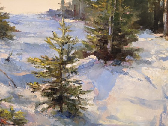 The path to the frozen lake