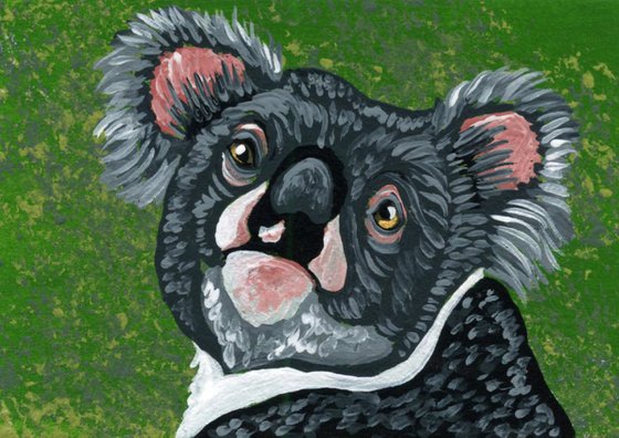 ACEO ATC Original Painting Koala Bear Wildlife Art-Carla Smale