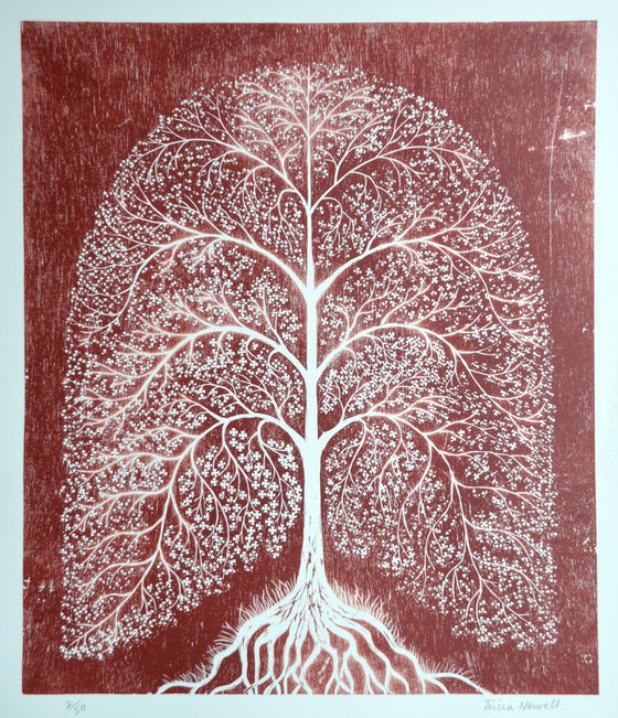 Indian Tree