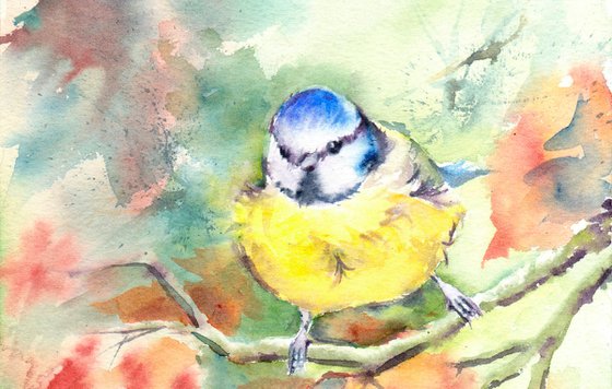 Blue tit amongst autumn foliage, an original watercolour painting