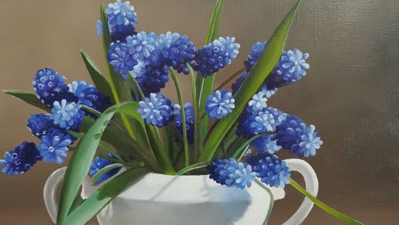 Muscari