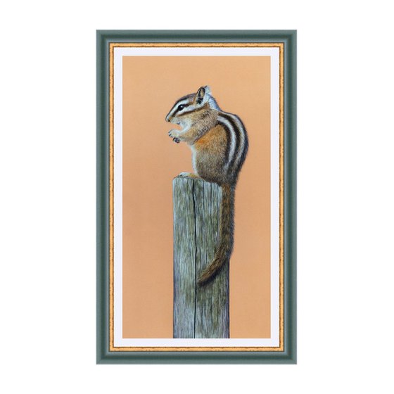 Original pastel drawing "Chipmunk"